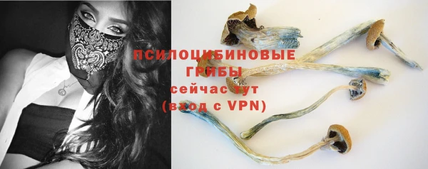 индика Абдулино