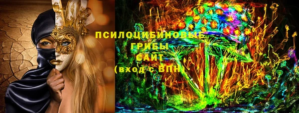 apvp Абаза