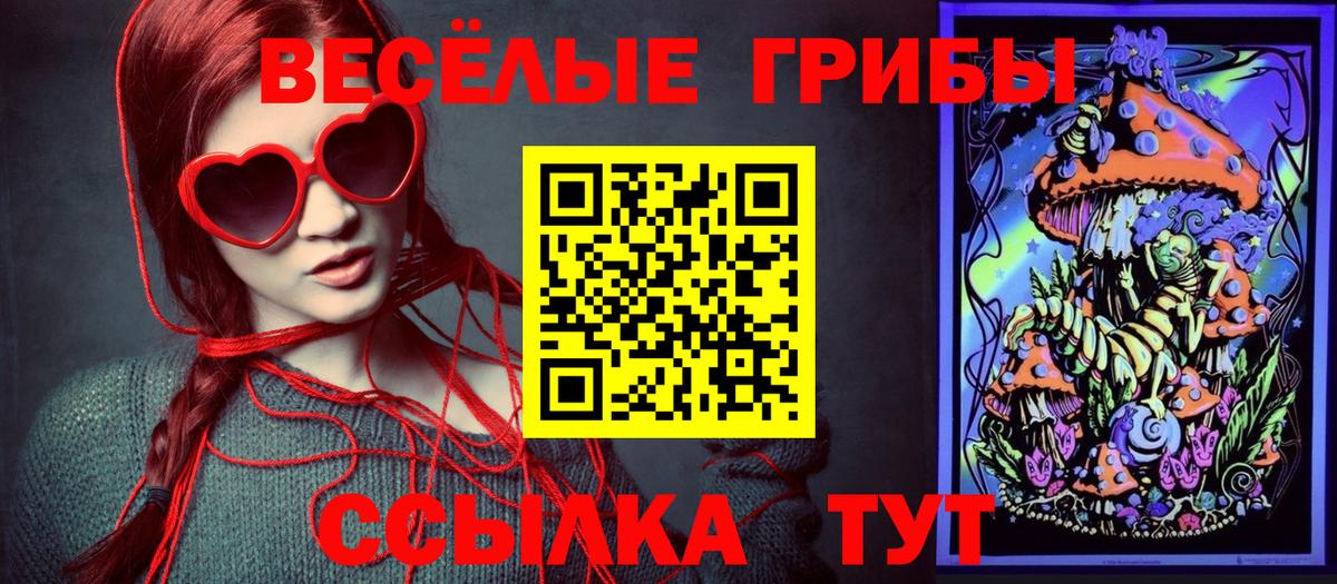 Галлюциногенные грибы мухоморы Советская Гавань