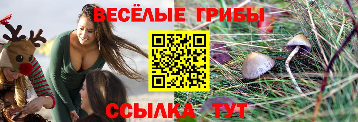 Псилоцибиновые грибы Psilocybine cubensis  Вход с VPN  Советская Гавань  Галлюциногенные грибы MAGIC MUSHROOMS 